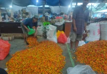 Kondisi Pasar Induk Kediri Sepi, Harga Cabai Rawit Turun