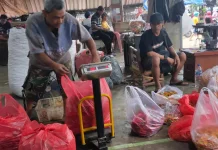 Harga Cabai Terendah di Kediri Rp15.000 Per Kilogram