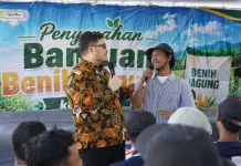 Bupati Kediri Salurkan 200 Ton Benih Jagung, Dorong Petani Tekan Biaya Produksi