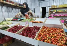 Harga Cabai Merah Keriting di Kediri Turun
