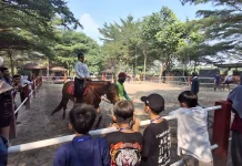 Liburan Sekolah Bermakna, Siswa SD Belajar Berkuda dan Memanah