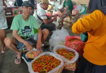 APCI: Harga Cabai di Pasar Induk Pare Bergerak Tak Searah
