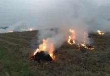 Kemarau Lebih Panjang, Sejumlah Wilayah di Kediri Rawan Krisis Air Bersih