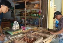 Sempat Anjlok, Harga Telur Ayam di Kediri Mulai Merangkak Stabil