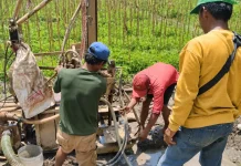 Petani di Kediri Andalkan Sumur Bor Hadapi Kemarau