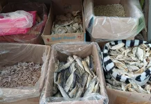 Aneka Jenis Ikan Asin Masih Menjadi Primadona Warga Kediri