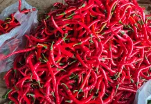 APCI: Harga Cabai di Pasar Induk Pare Makin Fluktuatif