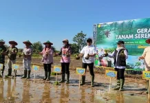Kementan Gelar Gerakan Tanam Serempak di 26 Provinsi