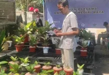 Merawat Anthurium, Merawat Silaturahmi