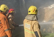 Lalai Bakar Sampah, Kobaran Api Hanguskan Kandang Ayam