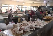 Harga Daging Ayam di Kediri Meningkat Jadi Rp34.000/Kg