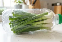 Rahasia Menyimpan Daun Bawang Tetap Segar hingga Berbulan-bulan