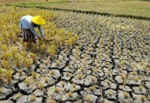 Jenis-jenis Kekeringan dan Dampaknya di Sepanjang Musim Kemarau