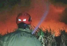 Empat Hektar Lahan Tebu HGU Sumber Lembu Kediri Terbakar