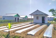 Rumah Bedeng di Lahan Eks HGU Puncu Kediri Jadi Sorotan Warga