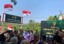 Jembatan Perintis Garuda Pangkas Jarak Warga Genjeng Jombang