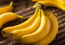 Dokter Anak Ingatkan Bahaya Campur Buah pada Menu Utama MPASI