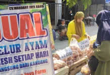 Harga Telur Cokelat di Kediri Tembus Rp22.000/kg