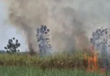 Petugas Damkar Kediri Cegah Kobaran Merembet ke Sekolah Rakyat