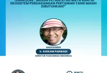 Tengkulak: Musuh Petani atau Mata Rantai Ekosistem Perdagangan yang Masih Relevan