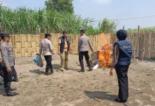 Polsek Kandat Gerebek Lokasi Dugaan Sabung Ayam
