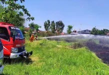 Jombang Hadapi Ancaman Karhutla di Puncak Kemarau