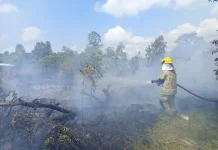 Masyarakat Sering Abai pada Resiliensi Bencana