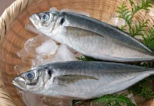 Ikan Kembung, Ikan Kaya Nutrisi Kompleks