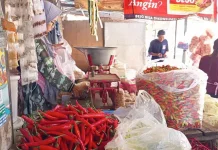 Musim Kemarau Panjang Jadi Faktor Fluktuasi Harga Bapok di Pasaran
