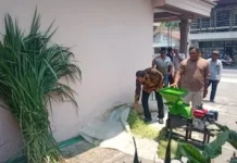 Teknologi Pencacah Bantu Peternak Sapi Perah di Kediri Atasi Limbah