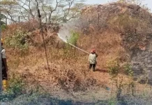 Kejadian Karhutla Meningkat, Jombang Perkuat Kolaborasi Lintas Sektor