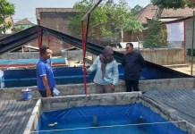 UB Kediri Stop Kematian Massal Benih Lele