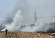 Dua Hektar Lahan Tebu di Ngasem Kediri Terbakar, Kerugian Capai Rp 50 Juta