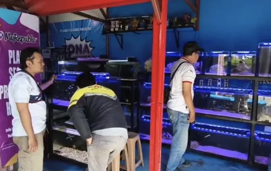 Warga Inginkan Pasar Ikan Hias SLG jadi Ikon Wisata Baru
