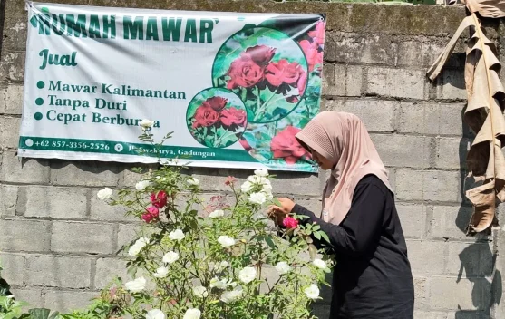 Rawat Ibu Pengidap Tumor Otak, Atlet Kriket Kediri Jualan Mawar Demi Kuliah