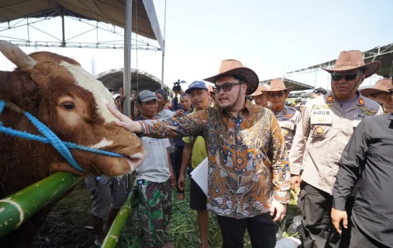 Kontes Ternak Sapi di Kabupaten Kediri Ditarget Menjadi Agenda Tahunan