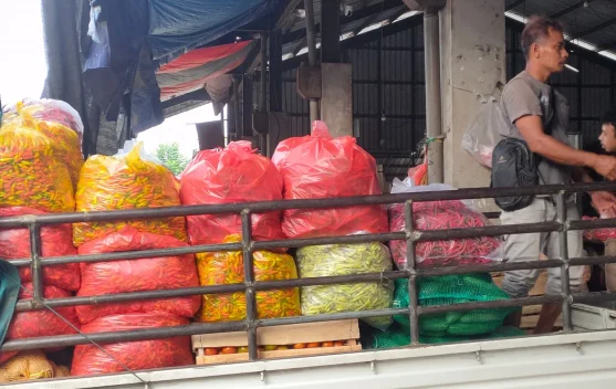 Pengiriman Jabodetabek Lancar, Harga Cabai di Kediri Stabil