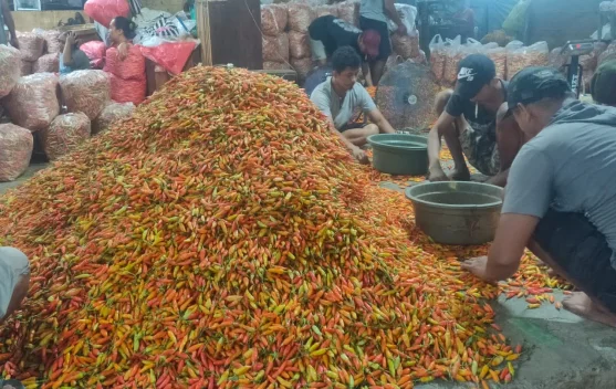 Harga Cabai Rawit di Kediri Melonjak Capai Rp73.000