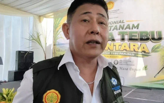 Sokong Swasembada Gula, Kediri Kembangkan Tebu Panjalu