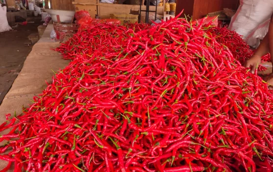 Kondisi Pasar Sepi, Harga Aneka Cabai di Kediri Turun