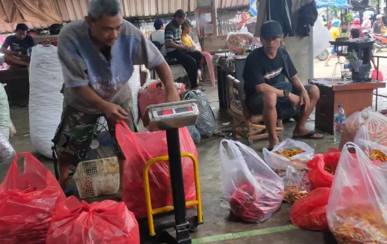 Harga Cabai Terendah di Kediri Rp15.000 Per Kilogram