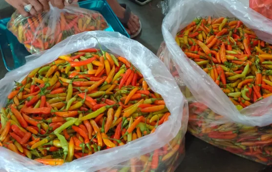 Pasokan Menipis, Harga Cabai Rawit di Pasar Induk Pare Naik