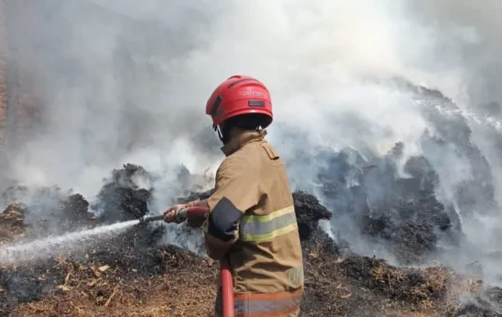 Waspada, Bakar Sampah Sembarangan Picu Kebakaran Sepah Tebu