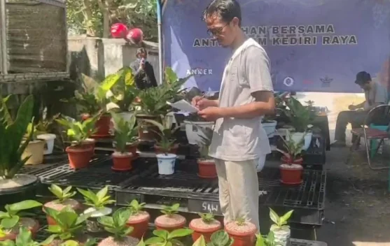Merawat Anthurium, Merawat Silaturahmi