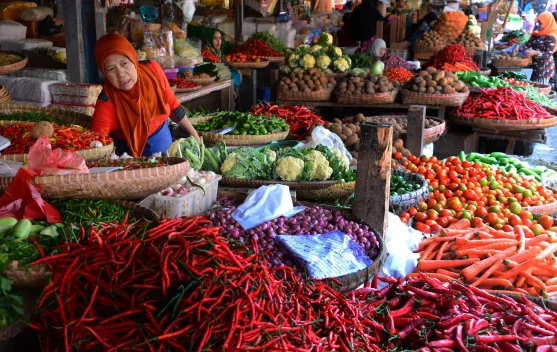 Gejolak Rupiah Ancam Komoditas Pertanian