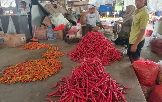 Pasokan Berkurang 85 Persen, Harga Cabai Kian Meningkat