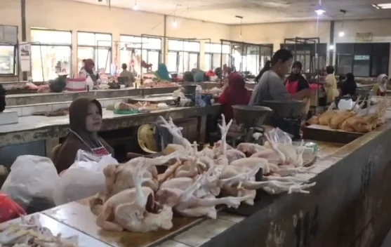 Harga Daging Ayam di Kediri Meningkat Jadi Rp34.000/Kg