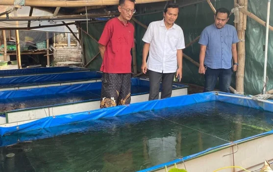 Tekan Kematian Benih, UB Kediri Uji Vaksin Feed-Based Lele Skala Kolam