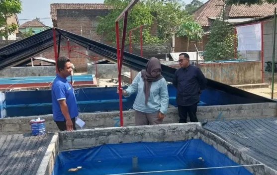 UB Kediri Stop Kematian Massal Benih Lele