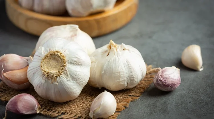 Mitos Bawang Putih Cegah Penyakit, Benarkah Secara Ilmiah!